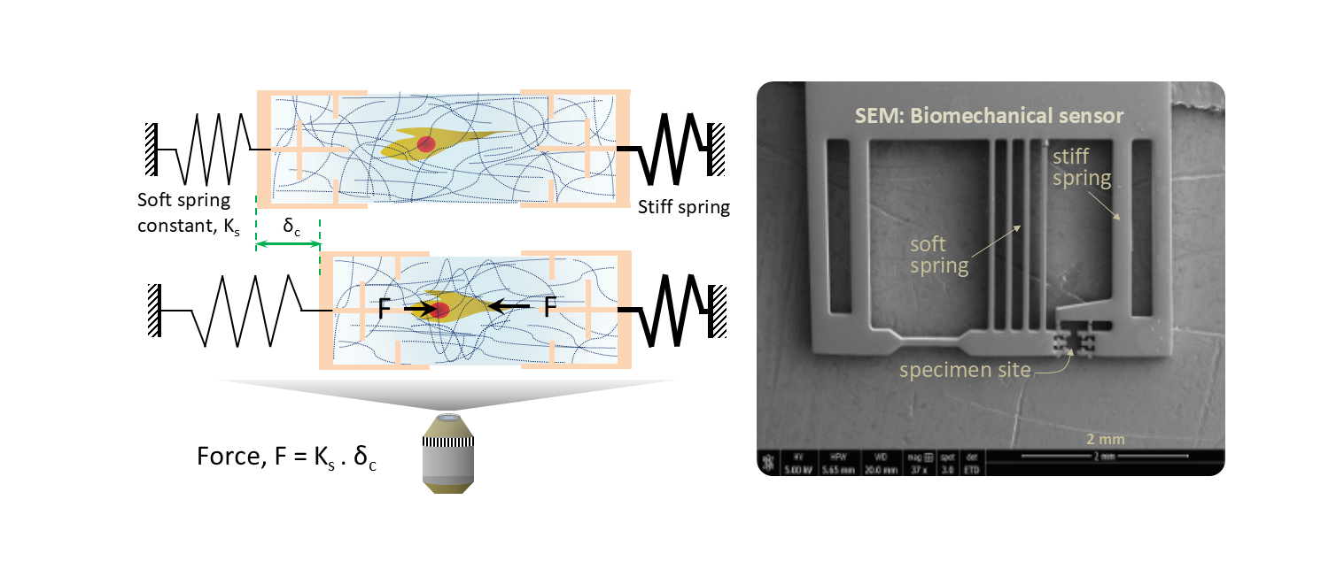 Force sensor
